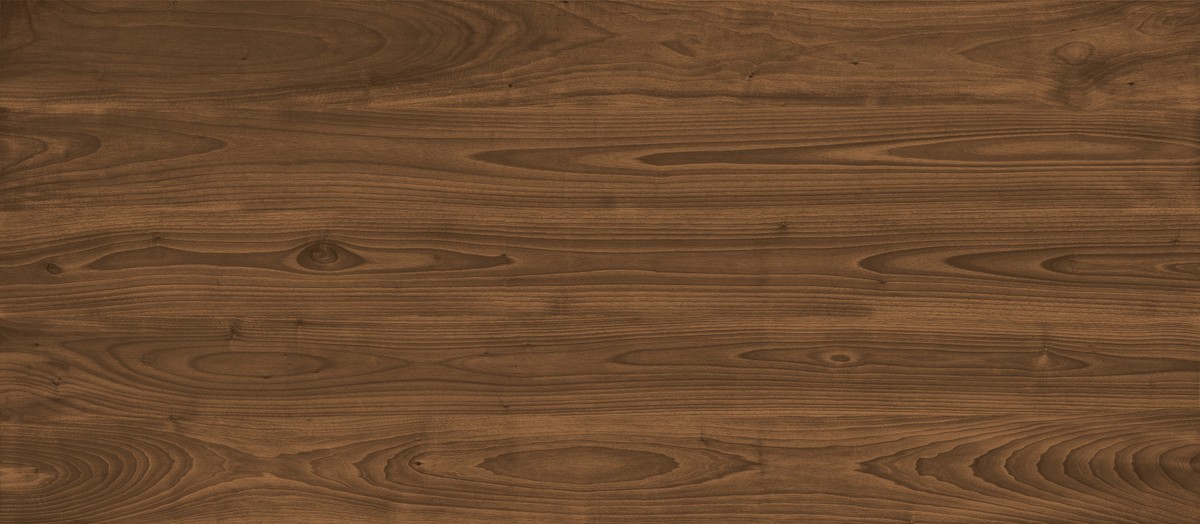 LOG ANTHOLOGY Dark Walnut 120x278 - 6mm  